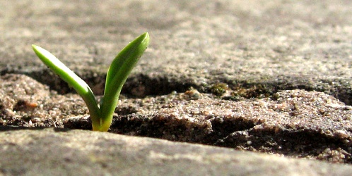 Overcoming entrepreneurial challenges