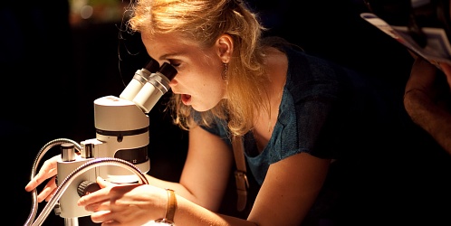 Evidence-based HR: Under the microscope